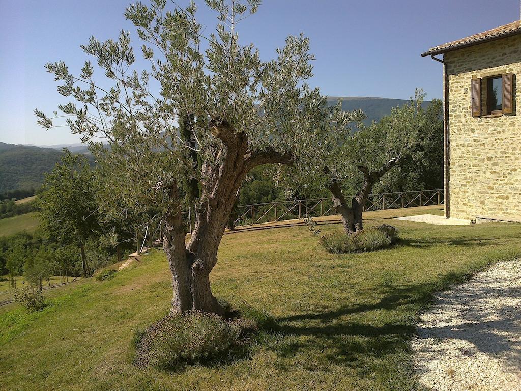 Agriturismo Paradiso 44 Asís Exterior foto