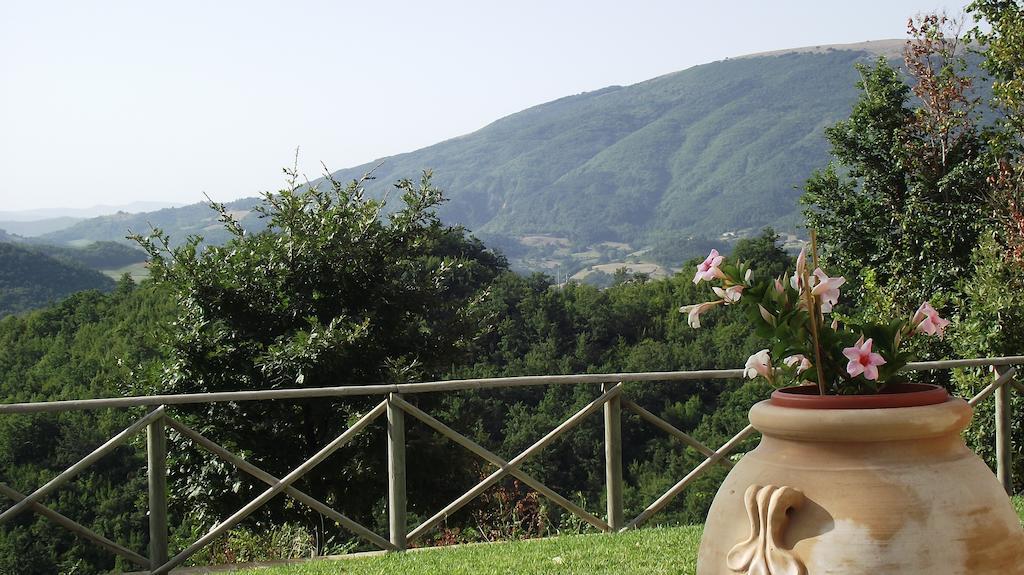 Agriturismo Paradiso 44 Asís Exterior foto