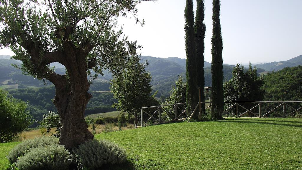 Agriturismo Paradiso 44 Asís Exterior foto