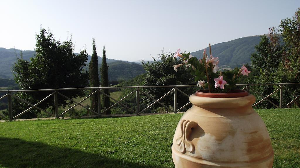 Agriturismo Paradiso 44 Asís Exterior foto