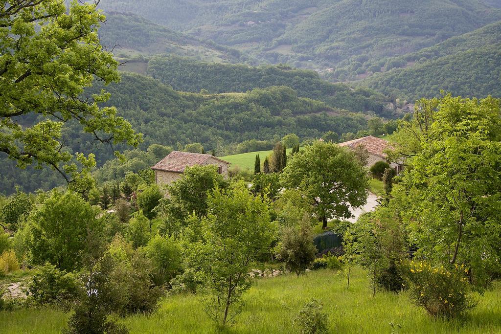 Agriturismo Paradiso 44 Asís Exterior foto